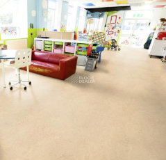 Forbo Marmoleum Decibel on Order 271335 calico фото 2 | FLOORDEALER